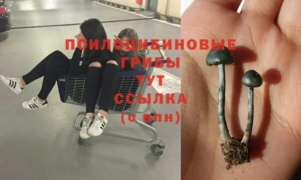 скорость Бородино