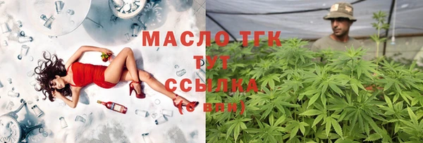 скорость Бородино