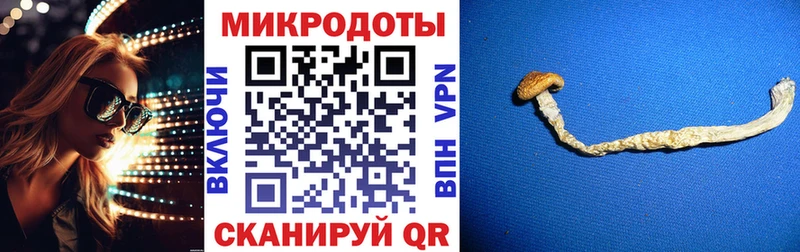 купить наркоту  Северобайкальск  кракен рабочий сайт  Псилоцибиновые грибы прущие грибы 